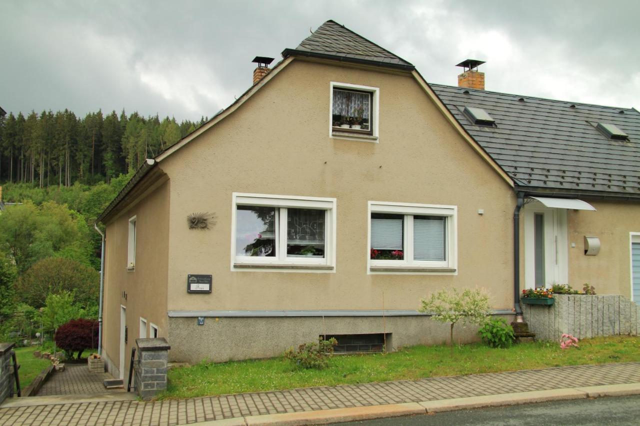 Ferienwohnung Haus Felix Bad Elster Exterior photo