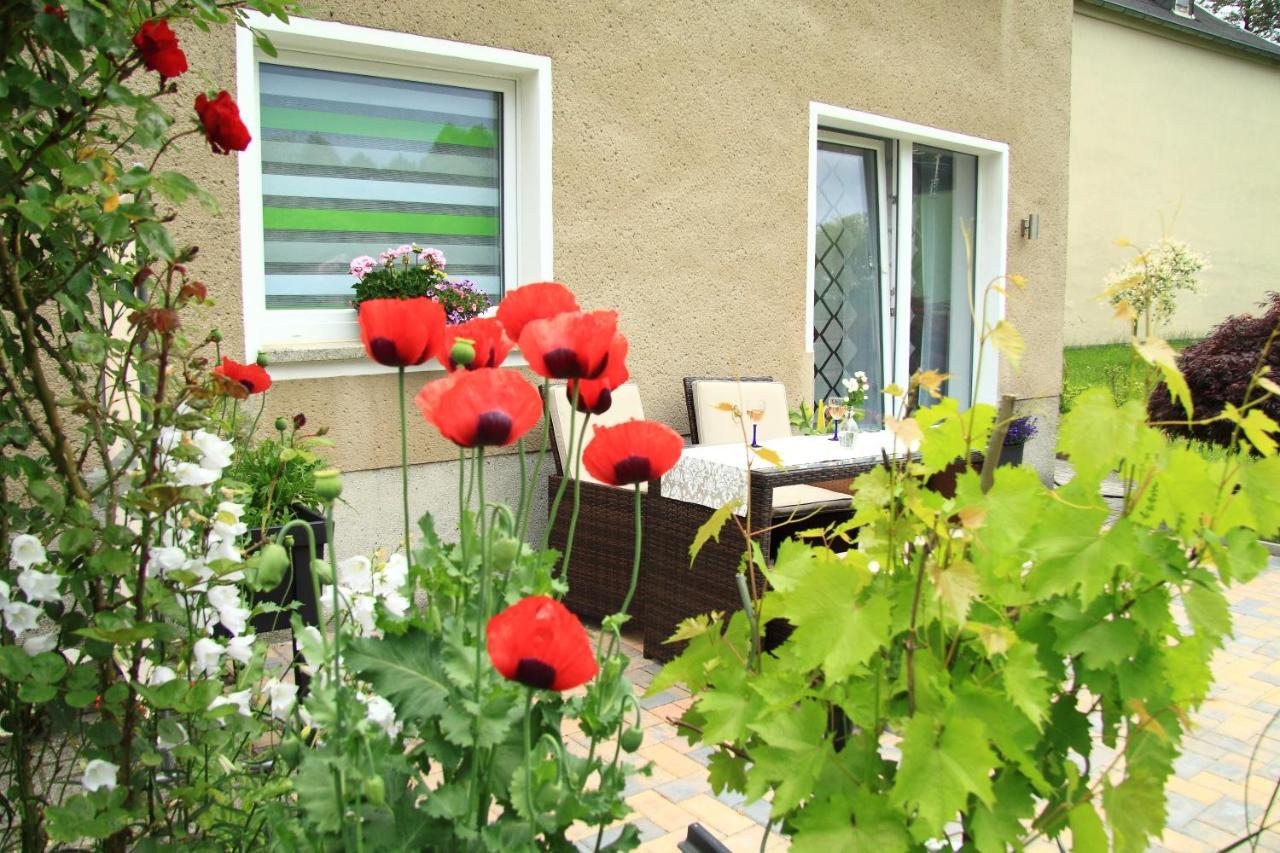 Ferienwohnung Haus Felix Bad Elster Exterior photo